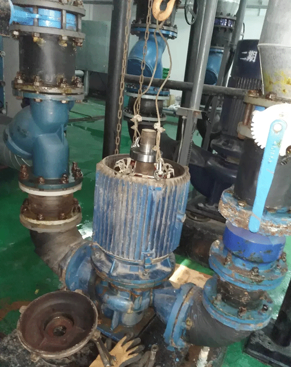 電機如何適應變頻起動(dòng)新技術(shù)——西安泰富西瑪電機（西安西瑪電機集團股份有限公司）官方網(wǎng)站