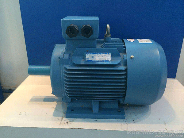 高效節能電機是西安泰富西瑪未來(lái)商業(yè)發(fā)展的方向。